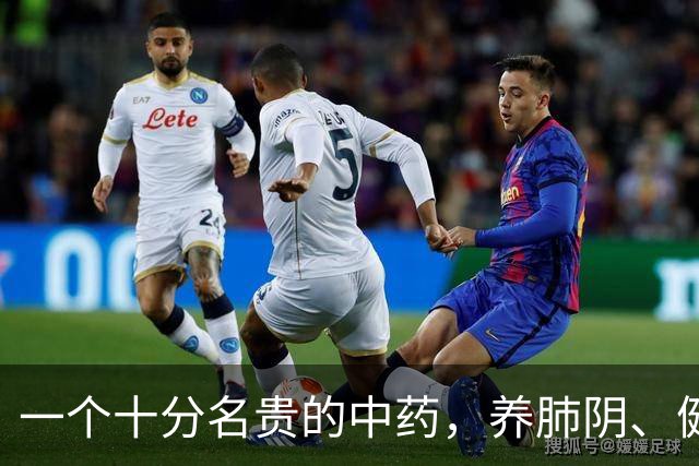 一个十分名贵的中药，养肺阴、健脾胃、补肾精，还对糖尿病有疗效