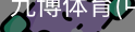 九博体育